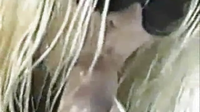 Puta casada abuelas calientes xvideos ninfómana vino a follar de CheatingWives .ml