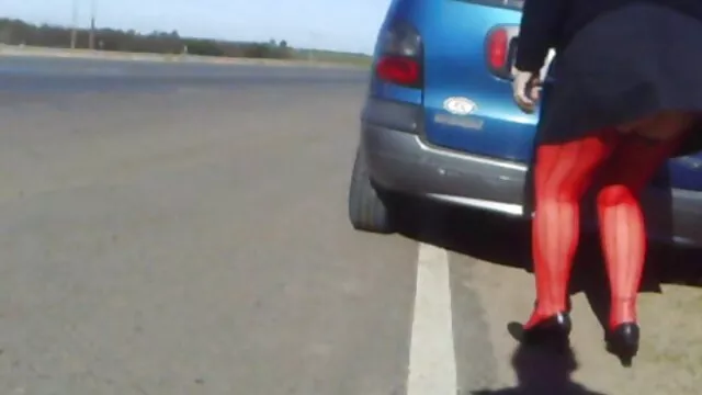burla por la tarde abuelas calientes y peludas y adoración de arbustos